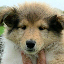 Number Five. 13.04.2008