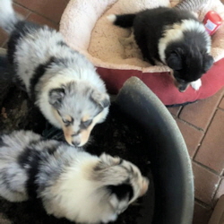 14.05.2019 14.05.2019