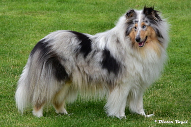 Tabea of Castle Garden