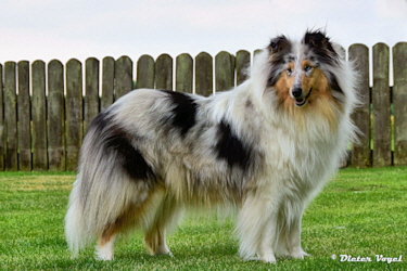 Tabea of Castle Garden