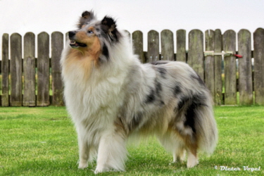 Tabea of Castle Garden