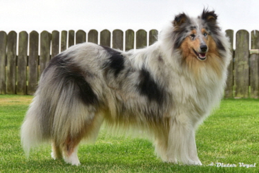 Tabea of Castle Garden