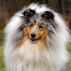 BeeGee. Foto Opitz 14.04.13