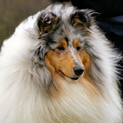 BeeGee. Foto Opitz 14.04.13