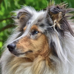 Tabea of Castle Garden