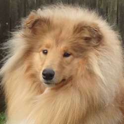 Perla of Castle Garden