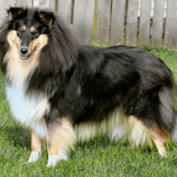 Grace of Castle Garden. 09.09.2008