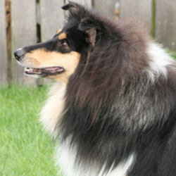 Grace of Castle Garden. 09.09.2008