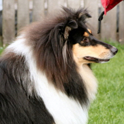 Grace of Castle Garden. 09.09.2008