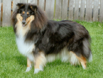 Grace of Castle Garden. 09.09.2008