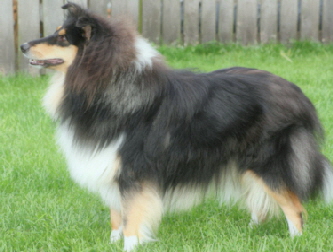 Grace of Castle Garden. 09.09.2008