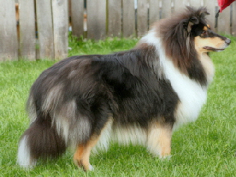 Grace of Castle Garden. 09.09.2008