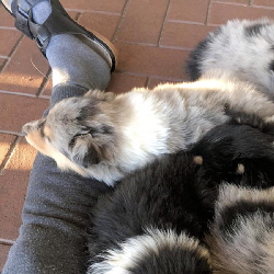 14.05.2019 14.05.2019