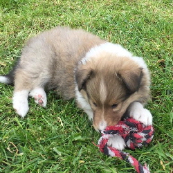 02.06.2019 02.06.2019