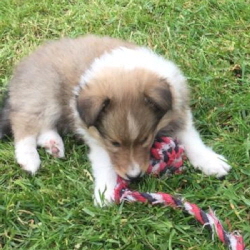 02.06.2019 02.06.2019