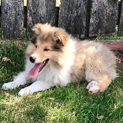 04.07.2019 04.07.2019