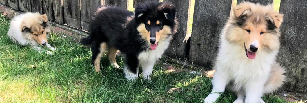 04,07.2019 04,07.2019