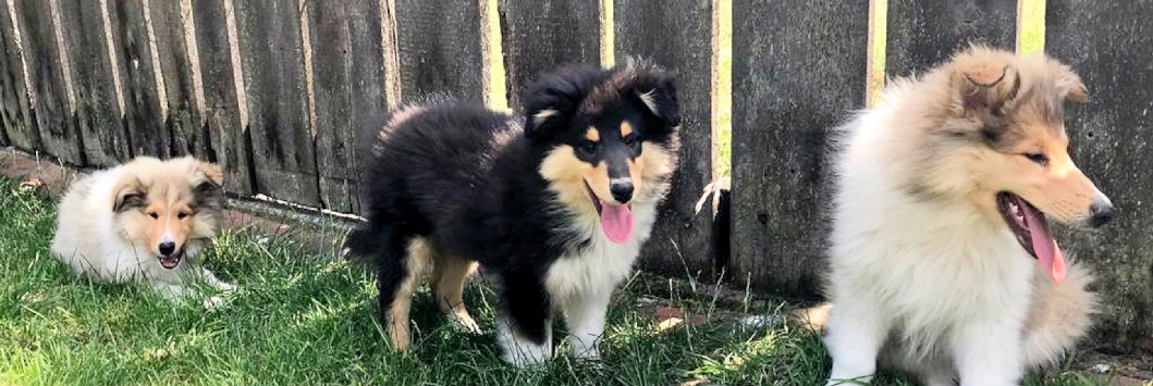 04.07.2019 04.07.2019