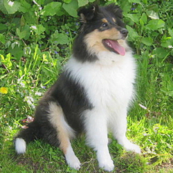 Tonja2015-05-31-250x250