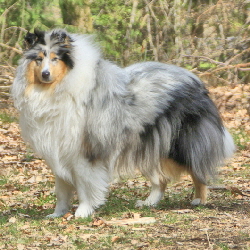 Vita of Castle Garden Vita of Castle Garden