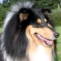 Black Jeans vom Hause Reinhard