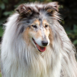 Eden. Foto Kina 2008