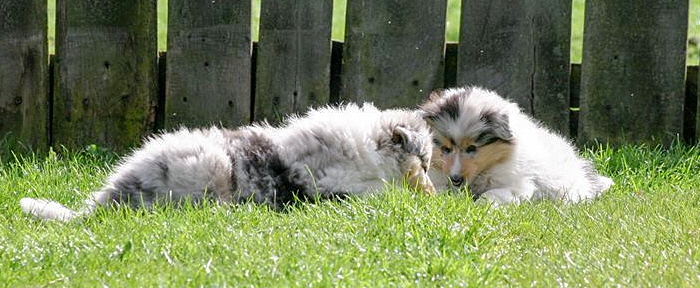 © Zoony Photography