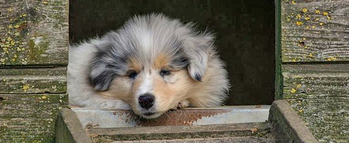 © Zoony Photography