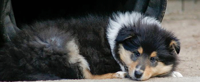 © Zoony Photography