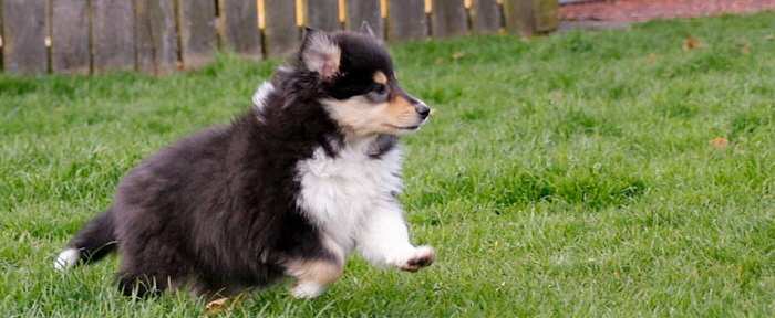 © Zoony Photography