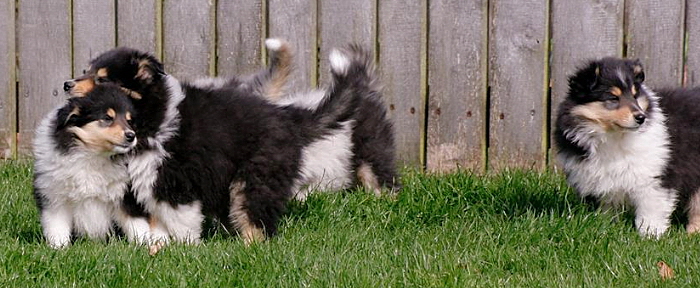 © Zoony Photography