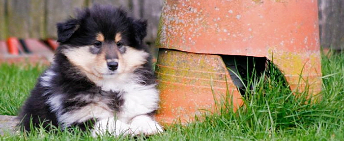 © Zoony Photography