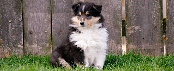 © Zoony Photography