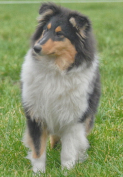 Cindy-Lou of Castle Garden