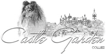 Collies of Castle Garden Collies of Castle Garden